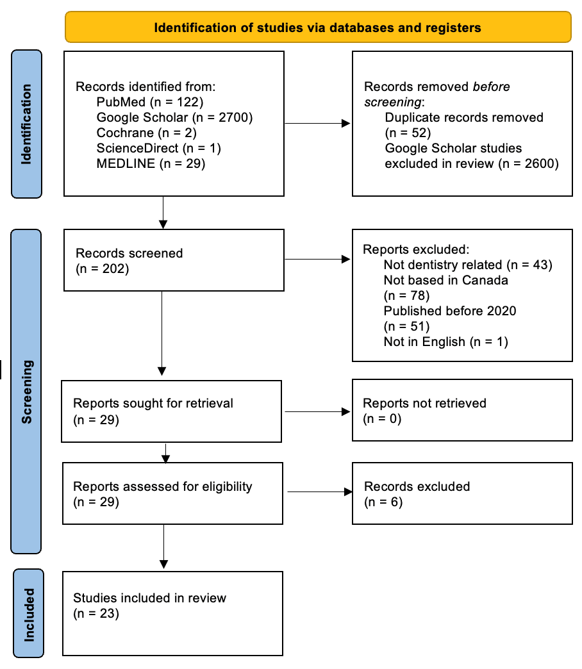 studies database flowchart