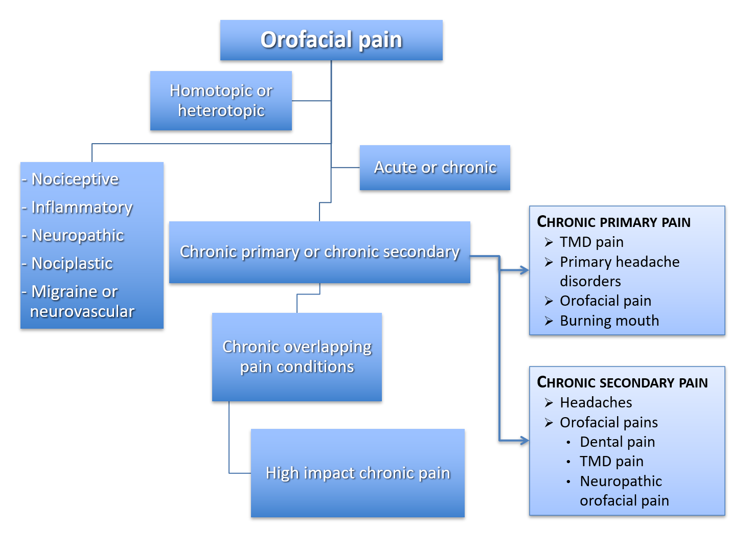 flowchart of different types of pain