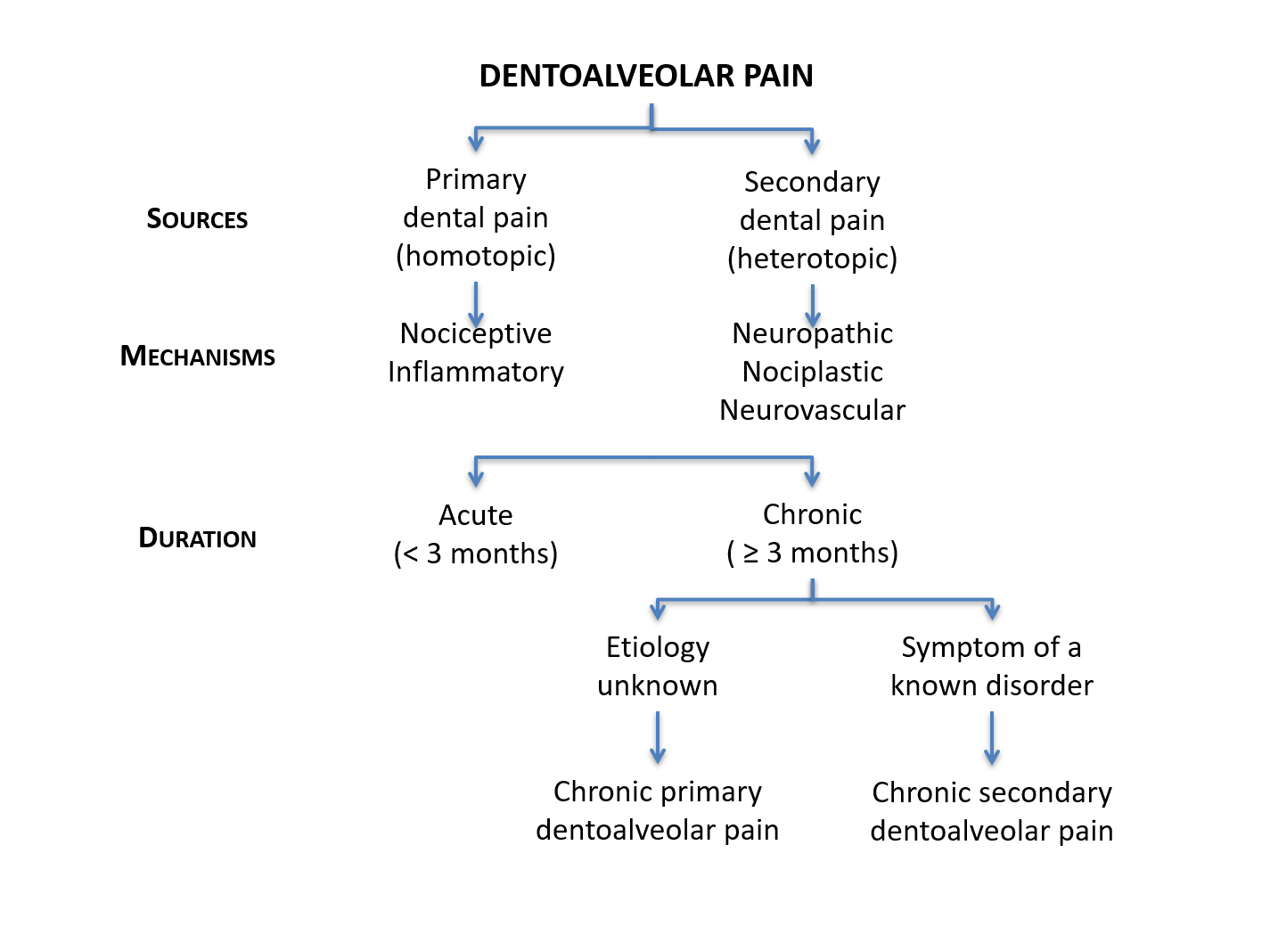 flowchart of types of pain