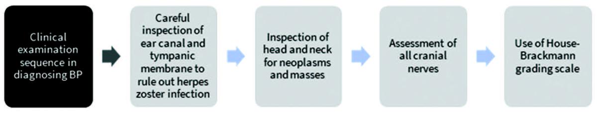 figure 4 - Clinical examination sequence panels