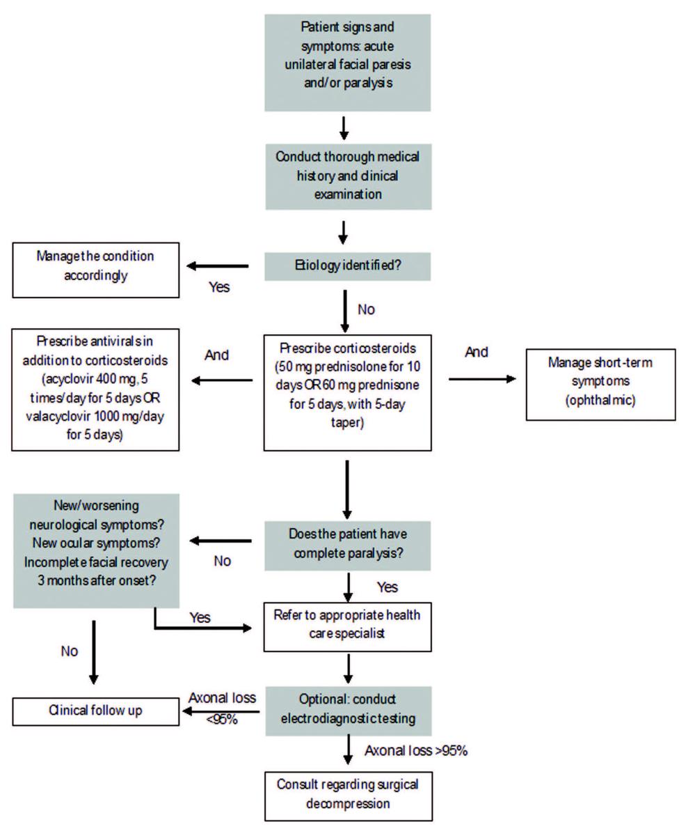 Pharmacological Treatments of Bell's Palsy in Adults: A Systematic